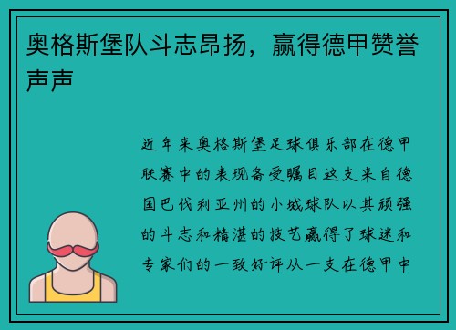 奥格斯堡队斗志昂扬，赢得德甲赞誉声声