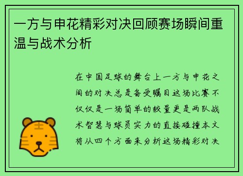 一方与申花精彩对决回顾赛场瞬间重温与战术分析